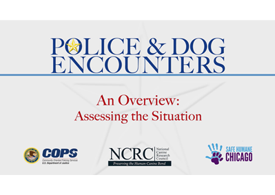 Police & Dog Encounters: Tactical Strategies and Effective Tools to Keep Our Communities Safe and Humane