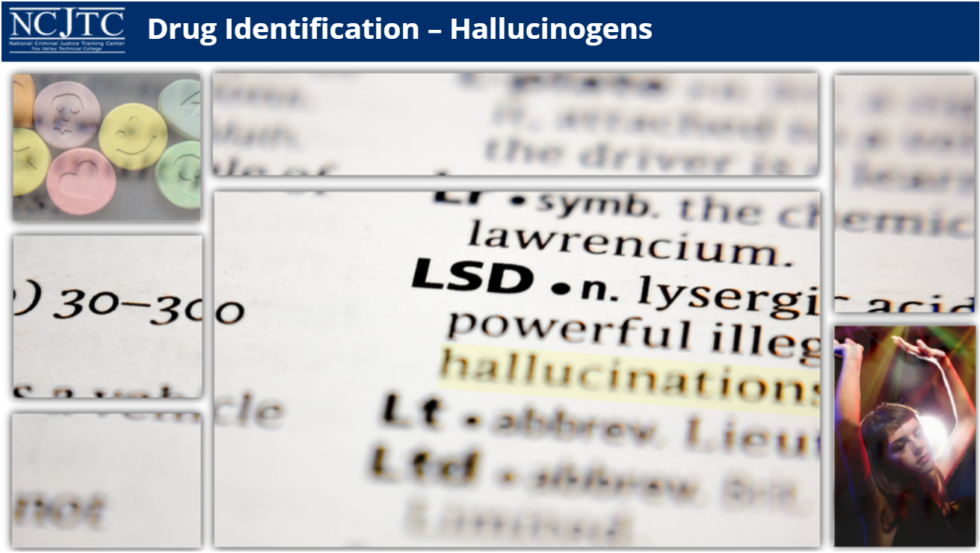 Drug Identification and Recognition: Hallucinogens - COPS Training Portal