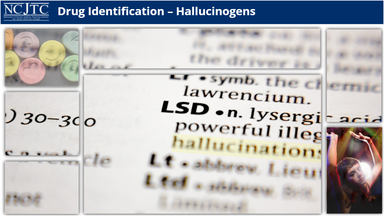 Title slide from the course showing LSD on a dictionary page.