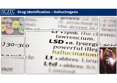 Drug Identification and Recognition: Hallucinogens