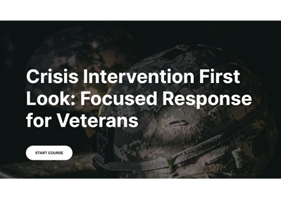 Crisis Intervention First Look: Focused Response for Veterans